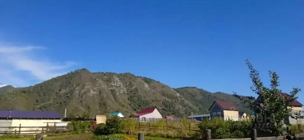 Дом в Алтай, Чемальский район, с. Чемал ул. Эдиганская, 19 (39 м) - Фото 2