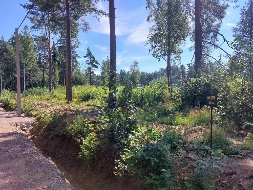 Участок в Ленинградская область, Выборгский район, Полянское с/пос, ... - Фото 2