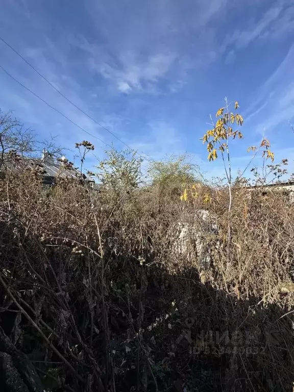 Участок в Саратовская область, Балашов Спартаковская ул., 46 (5.1 ... - Фото 2