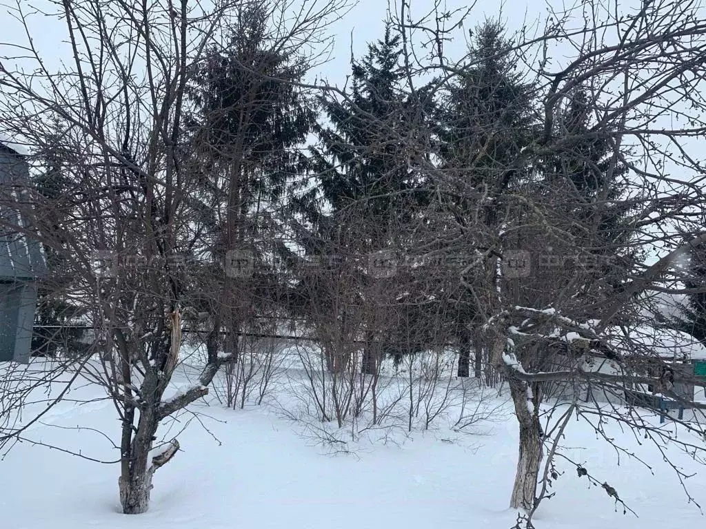 Участок в Татарстан, Высокогорский район, Альдермышское с/пос, д. Ибря ... - Фото 1