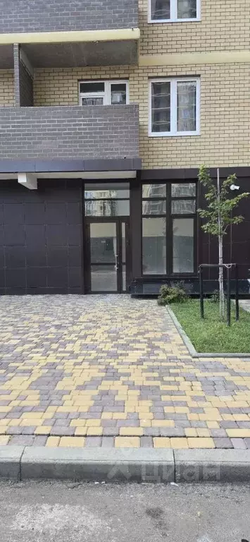 Помещение свободного назначения в Краснодарский край, Краснодар ул. ... - Фото 1