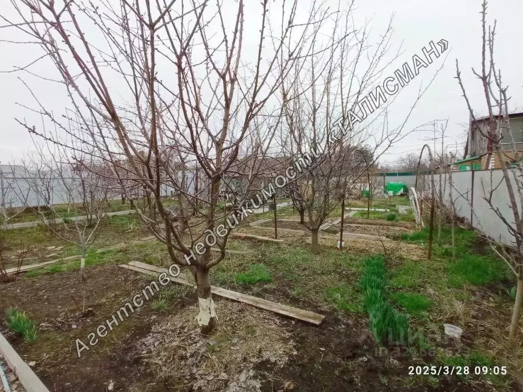 Участок в Ростовская область, Таганрог Зеленхоз садовое товарищество, ... - Фото 1