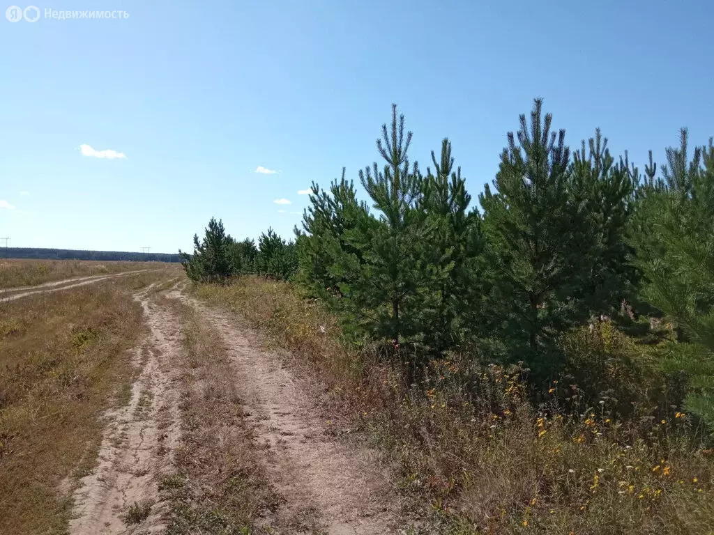 Участок в Сысертский городской округ, деревня Верхняя Боёвка (708 м) - Фото 0