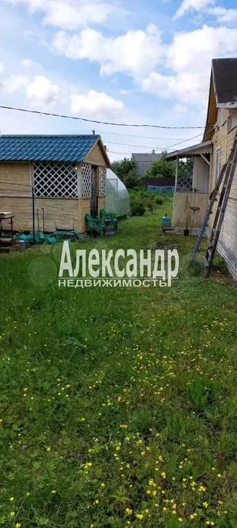 Участок 8 сот. (СНТ, ДНП) - Фото 1