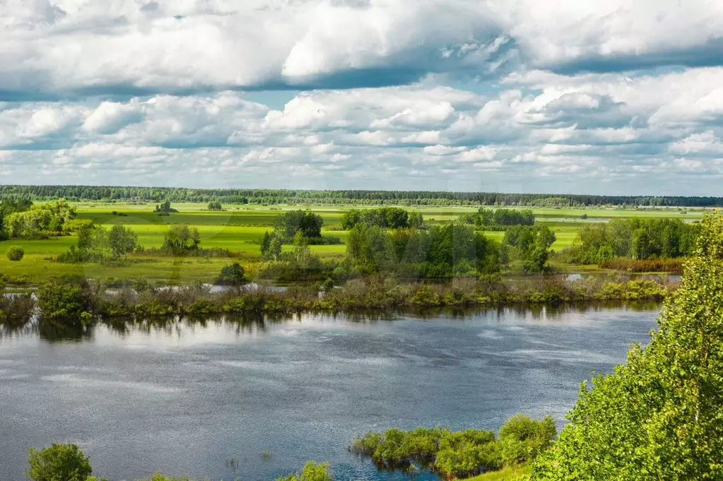 Участок 1,5 га (СНТ, ДНП) - Фото 0