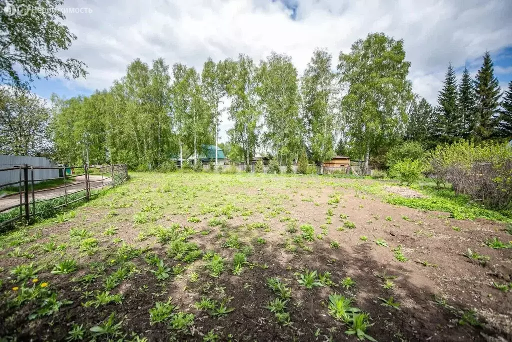 Дом в Бердск, СНТ Луговое-1 (37.5 м) - Фото 1