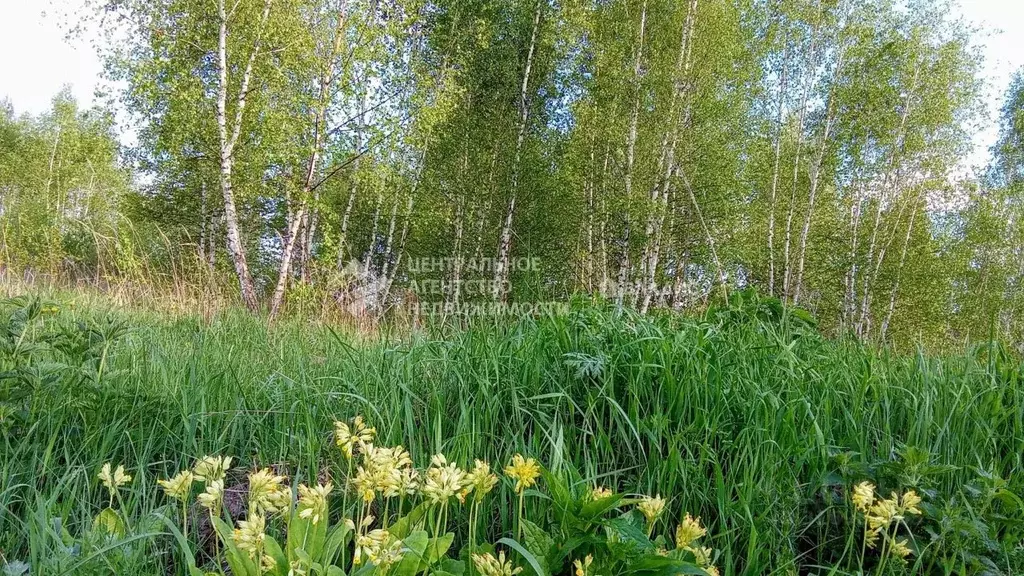 Участок в Рязанская область, Рязань пос. Божатково,  (8.0 сот.) - Фото 0
