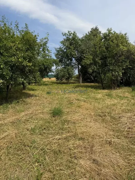 Участок в Нижегородская область, Дальнеконстантиновский муниципальный ... - Фото 1