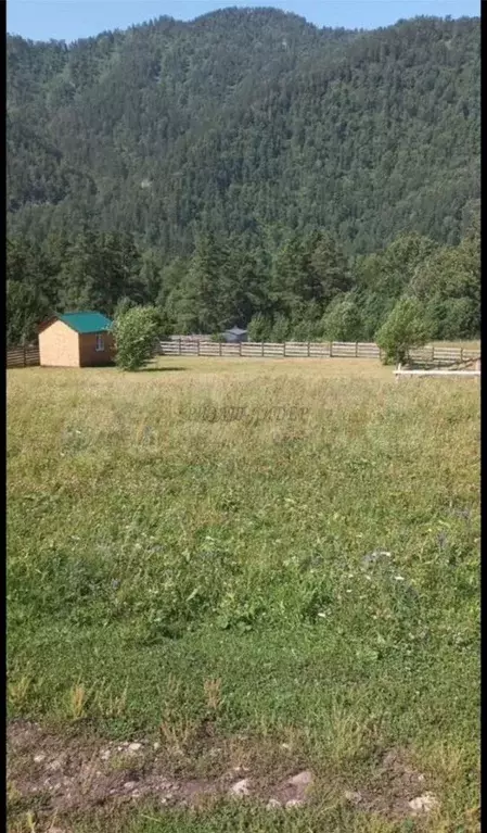 Дом в Алтай, Чемальский район, Узнезинское с/пос, с. Узнезя  (20 м) - Фото 1