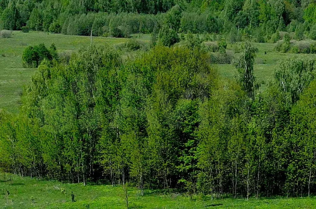 Участок 7,4 сот. (ИЖС) - Фото 1