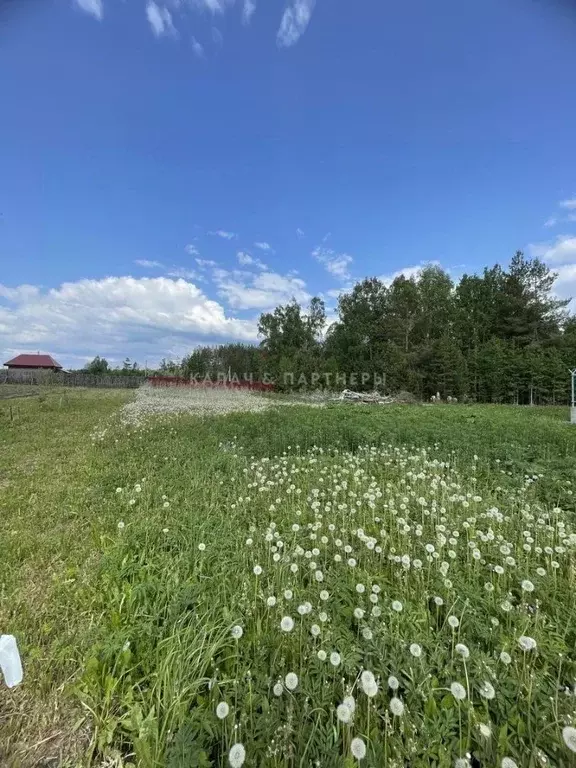 Участок в Свердловская область, Полевской муниципальный округ, с. ... - Фото 1