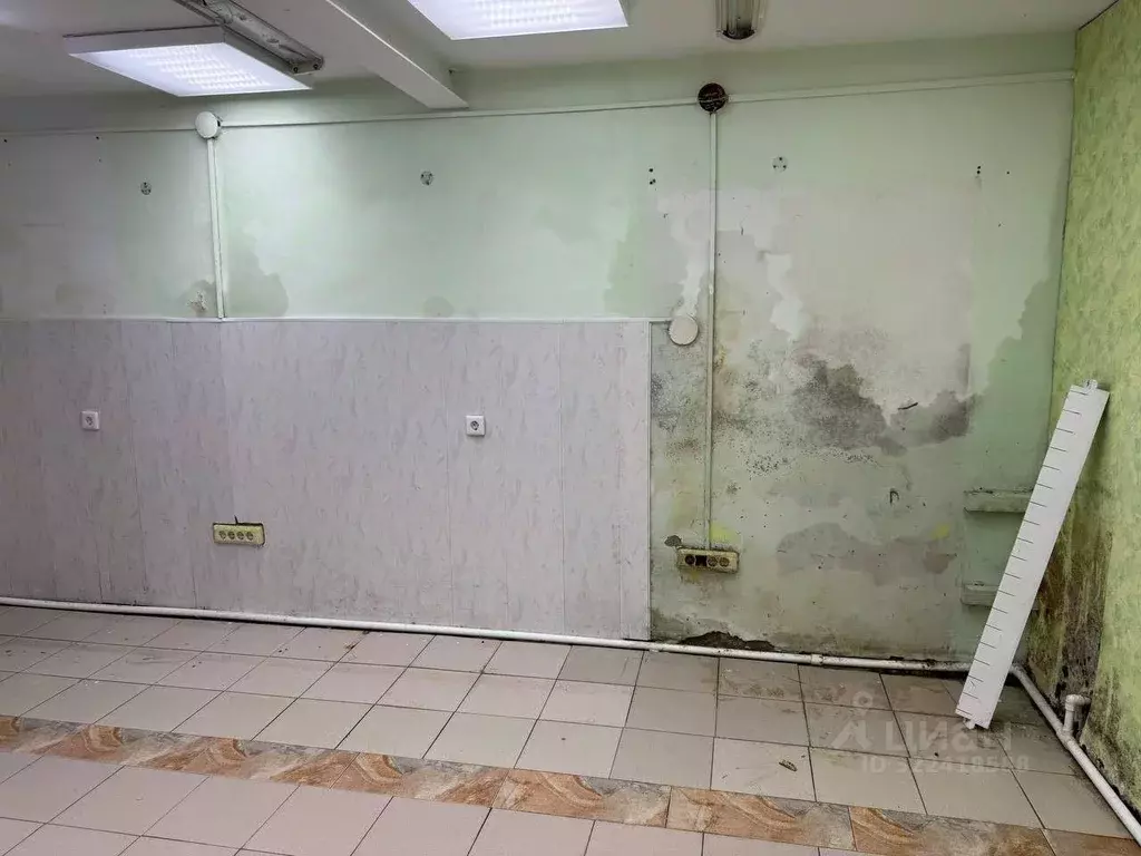 Помещение свободного назначения в Тюменская область, Ишим ул. Ленина, ... - Фото 1