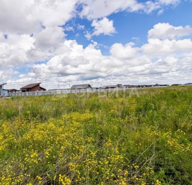 Участок в Тюменская область, Тюменский муниципальный округ, с. ... - Фото 2
