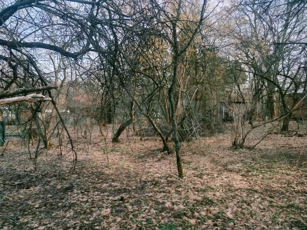 Дом 20 м на участке 8 сот. - Фото 1
