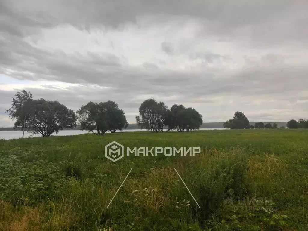 Участок в Пензенская область, Шемышейский район, с. Усть-Уза  (248.0 ... - Фото 2