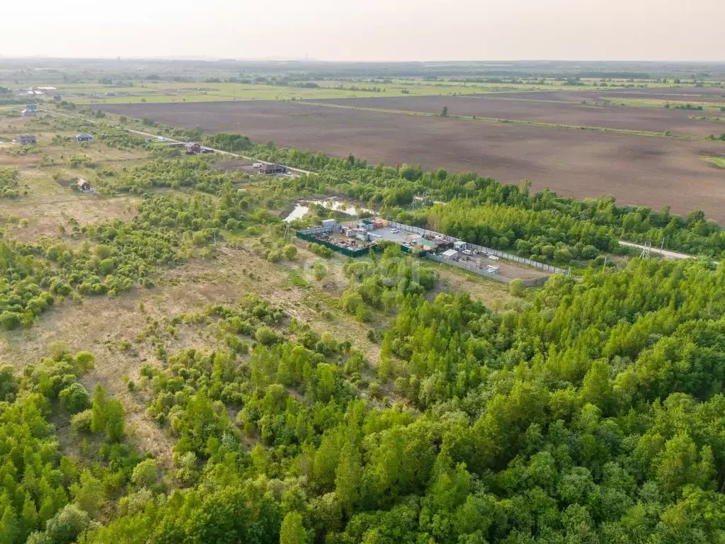 Участок в Хабаровский край, Хабаровский район, с. Мирное Новая ул. ... - Фото 2