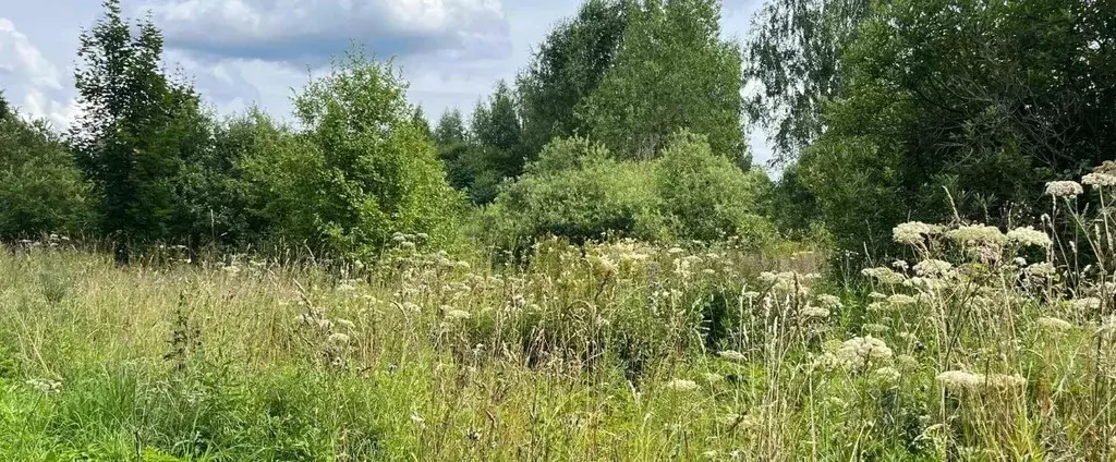 Участок в Московская область, Серпухов городской округ, д. Фенино  ... - Фото 1