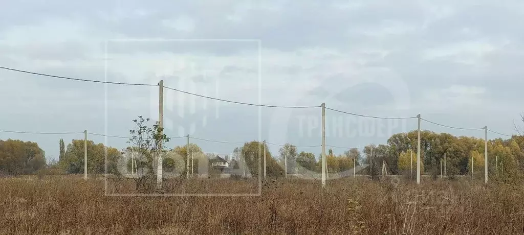 Участок в Воронежская область, с. Новая Усмань, Отрада СНТ ул. Речная, ... - Фото 1