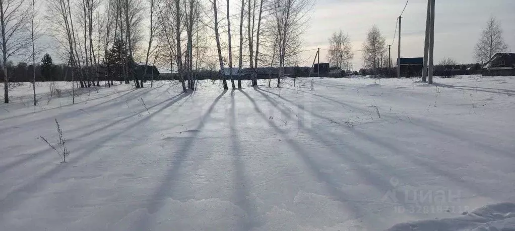 Участок в Курганская область, Кетовский муниципальный округ, Онегино ... - Фото 1