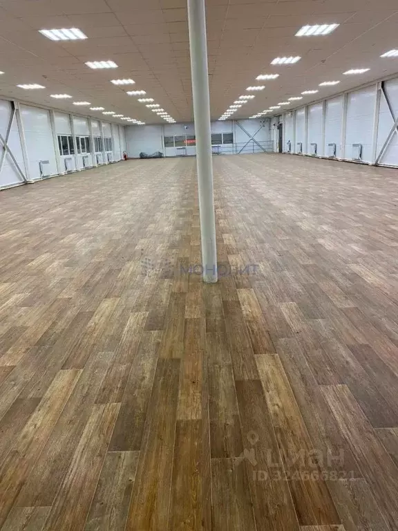 Помещение свободного назначения в Нижегородская область, Лукоянов ул. ... - Фото 1