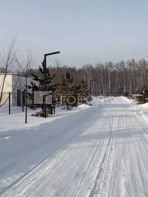 Участок в Новосибирская область, Новосибирский район, Криводановский ... - Фото 1