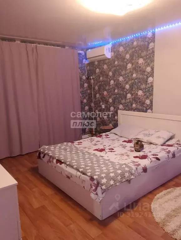 1-к кв. Саратовская область, Энгельс 2-й мкр, 41 (33.3 м) - Фото 0