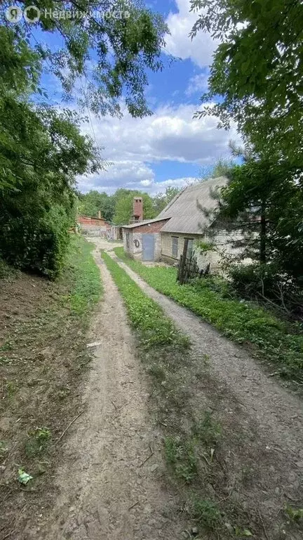 Участок в Мишкинское сельское поселение, хутор Малый Мишкин, ... - Фото 0