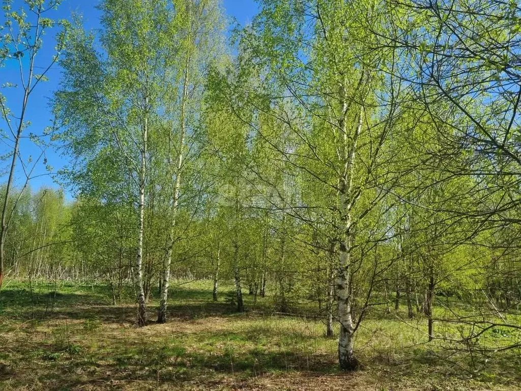 Участок в Московская область, Дмитровский городской округ, д. Удино  ... - Фото 0