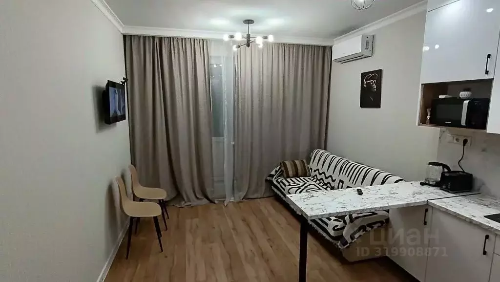 1-к кв. Московская область, Солнечногорск городской округ, Андреевка ... - Фото 1