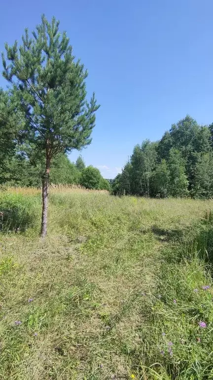 Участок в Калужская область, Совхоз Боровский с/пос, д. Николаевка  ... - Фото 1