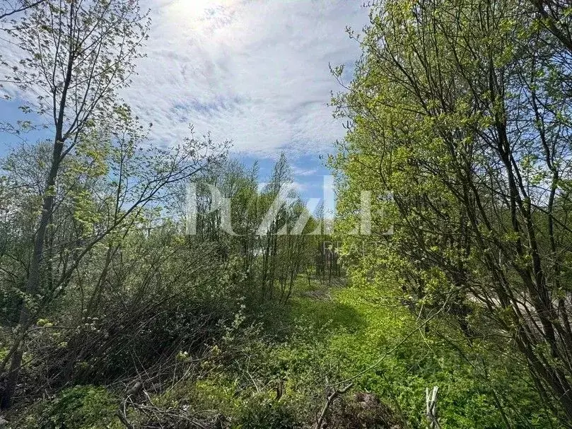 Участок в Ленинградская область, Выборгский район, Полянское с/пос, ... - Фото 0