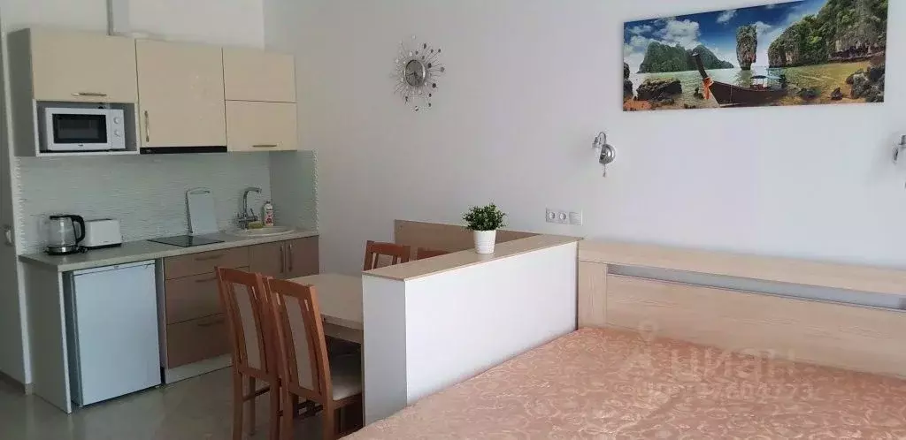 1-к кв. Калининградская область, Светлогорск ул. Верещагина, 12 (33.0 ... - Фото 2