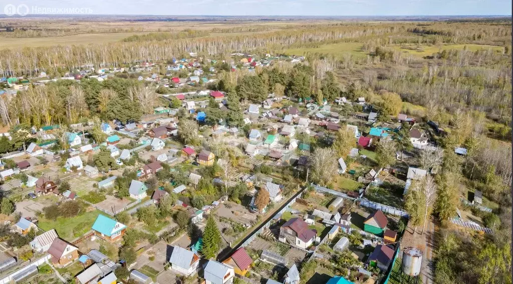 Дом в Тюменский муниципальный округ, садовое общество Птицевод (34 м) - Фото 2