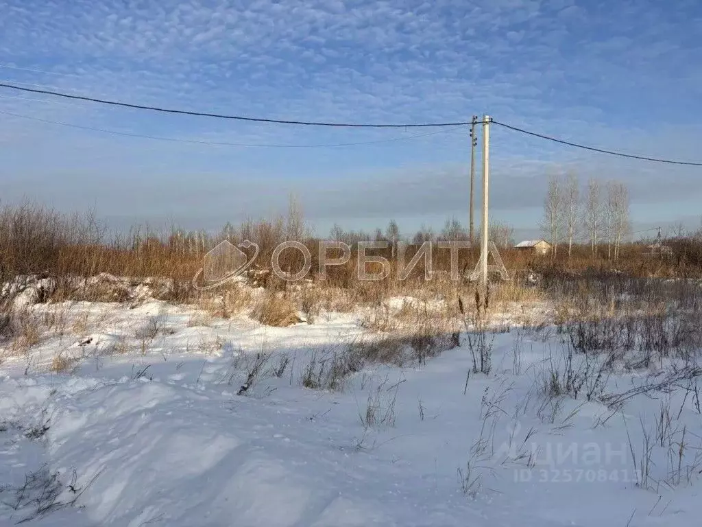 Участок в Тюменская область, Тюмень Садовое товарищество Липовый ... - Фото 2