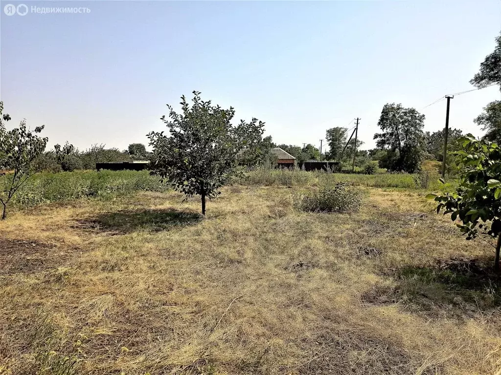 Участок в Степной, Вишнёвая улица (20 м) - Фото 0