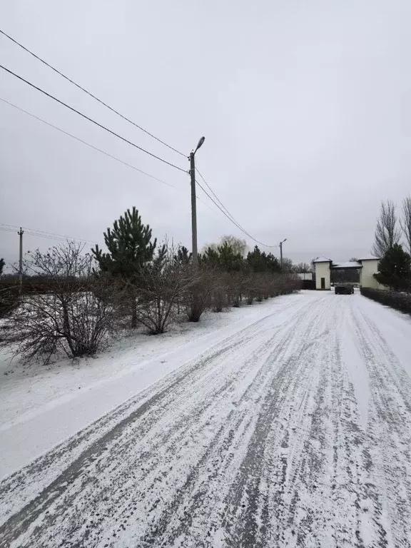 Участок в Волгоградская область, Среднеахтубинский район, Фрунзенское ... - Фото 1