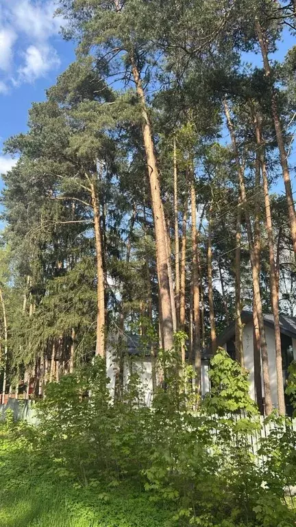 Дом в Московская область, Раменский муниципальный округ, Ильинский пгт ... - Фото 1