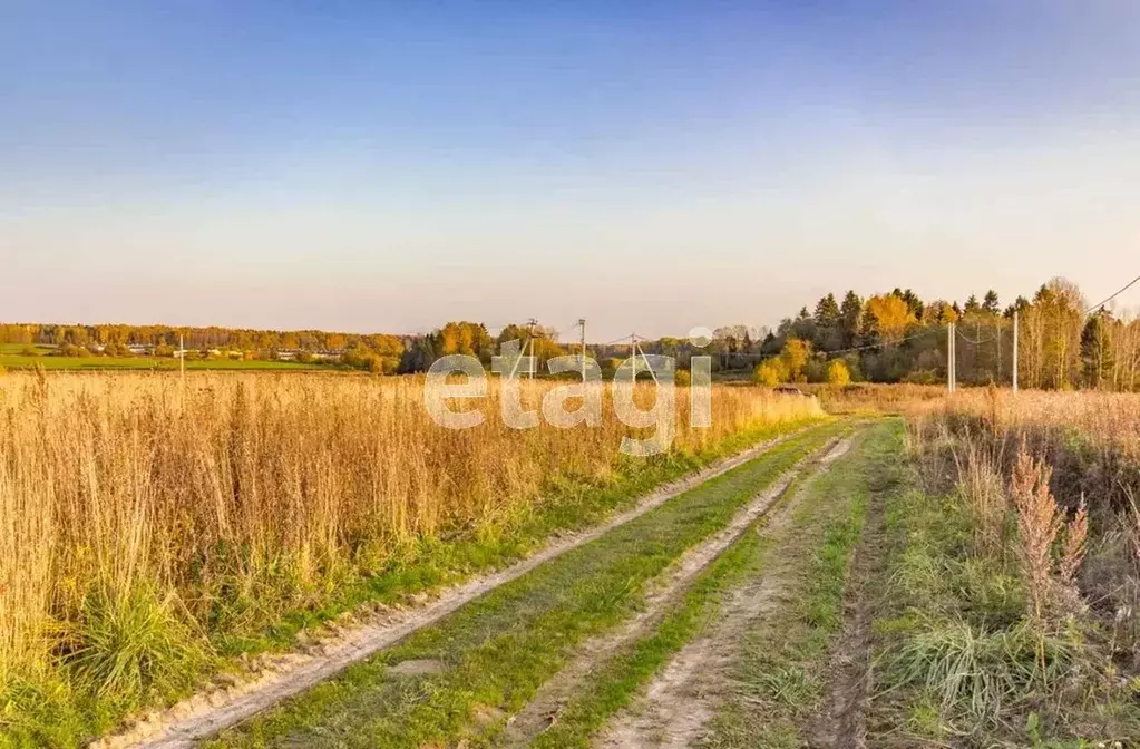 Участок в Вологодская область, пос. Грибково  (8.0 сот.) - Фото 1