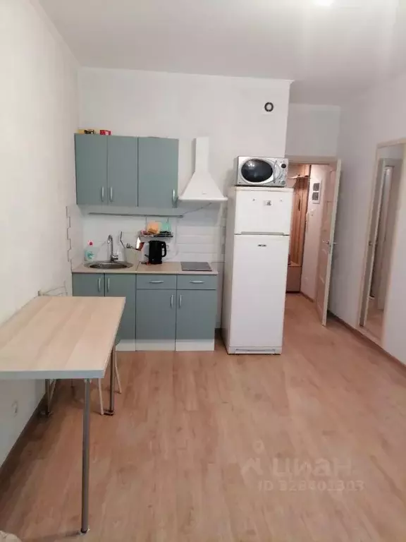 Студия Санкт-Петербург ул. Плесецкая, 20к1 (24.3 м) - Фото 2