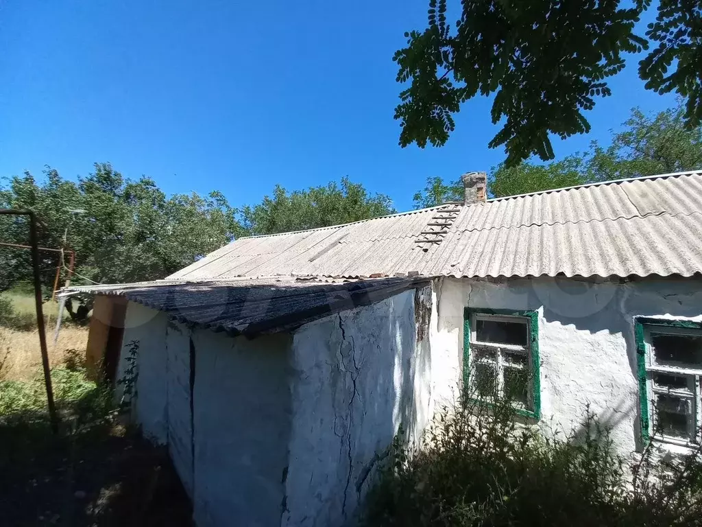 Дом 36,8 м на участке 53 сот. - Фото 1