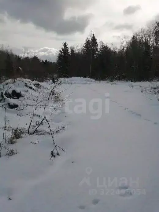 Участок в Вологодская область, Шограш садоводческое товарищество  (6.0 ... - Фото 1
