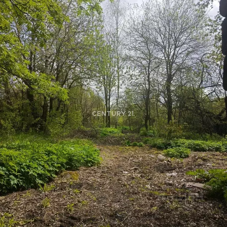 Участок в Тверская область, Калининский муниципальный округ, д. Старый ... - Фото 1