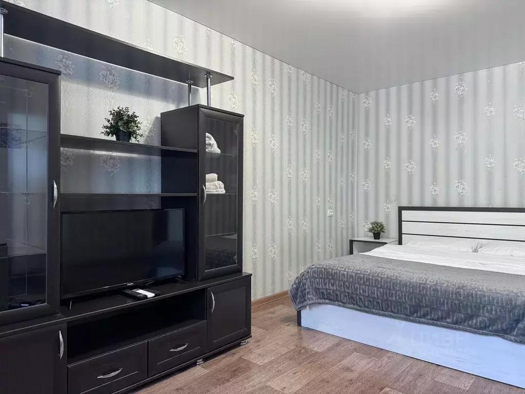 1-к кв. Ставропольский край, Ессентуки Пятигорская ул., 142 (27.0 м) - Фото 2