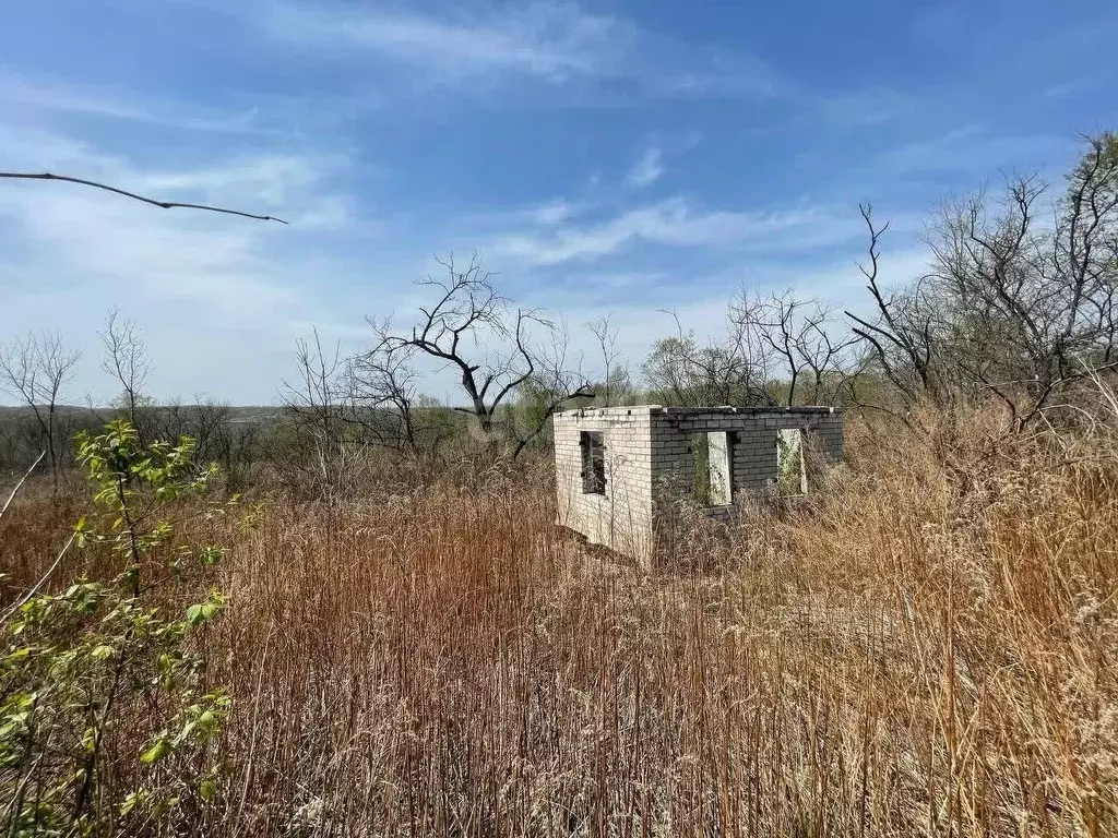 Участок в Приморский край, Надеждинский район, Тихоокеанец №1 СНТ  ... - Фото 0