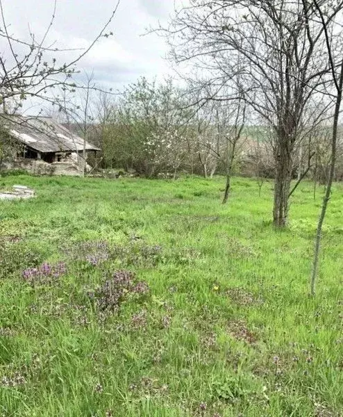 Участок в Краснодарский край, Анапа муниципальный округ, Верхний Чекон ... - Фото 0