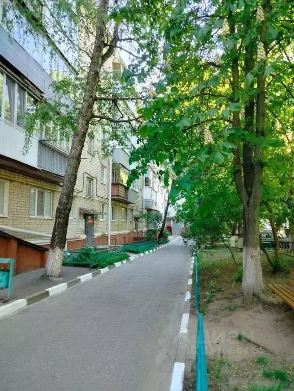 1-к кв. Белгородская область, Белгород Вокзальная ул., 33 (30.0 м) - Фото 0