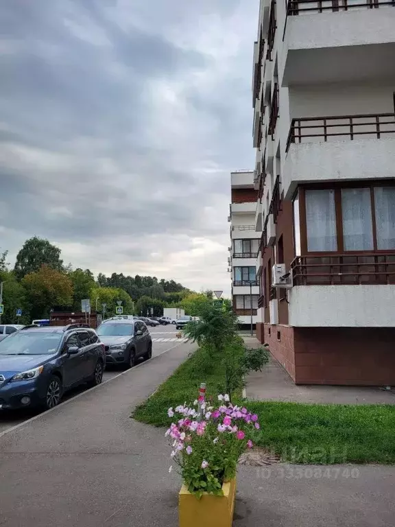 1-к кв. Московская область, Люберцы городской округ, Малаховка пгт, ... - Фото 1