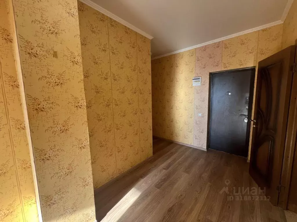 2-к кв. Краснодарский край, Сочи Виноградная ул., 224/8 (35.0 м) - Фото 1