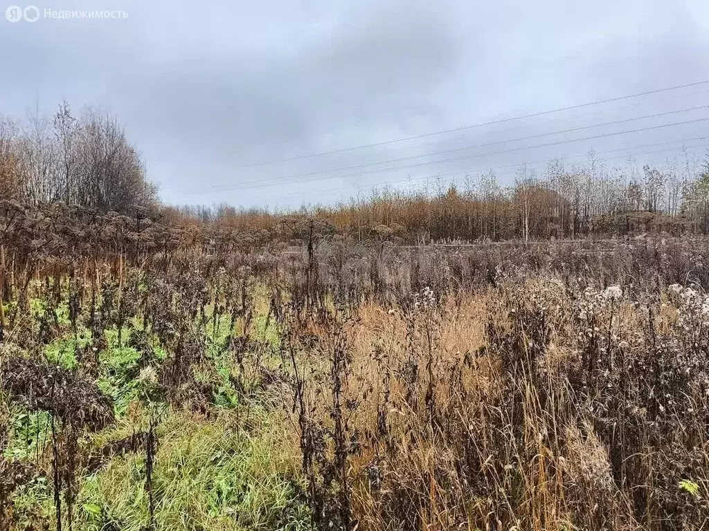 Участок в Выльгорт, улица Семёна Налимова (12 м) - Фото 1