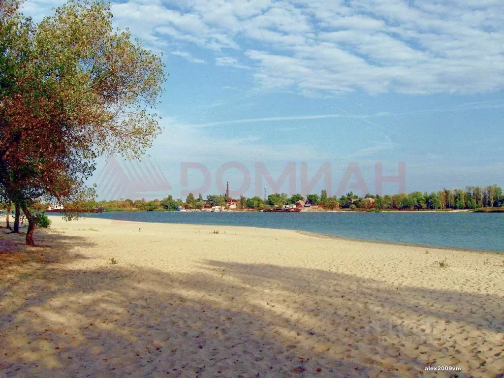 Участок в Ростовская область, Багаевское с/пос, Бенелюкс СНТ 37 (8.0 ... - Фото 2